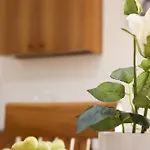 Corte Micetti 1- Centro Storico Apartmán