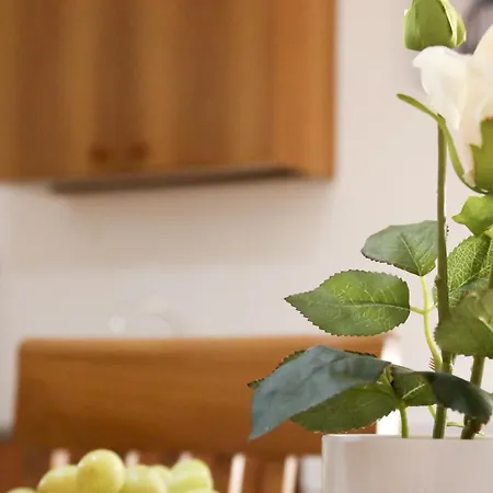 Corte Micetti 1- Centro Storico Appartement